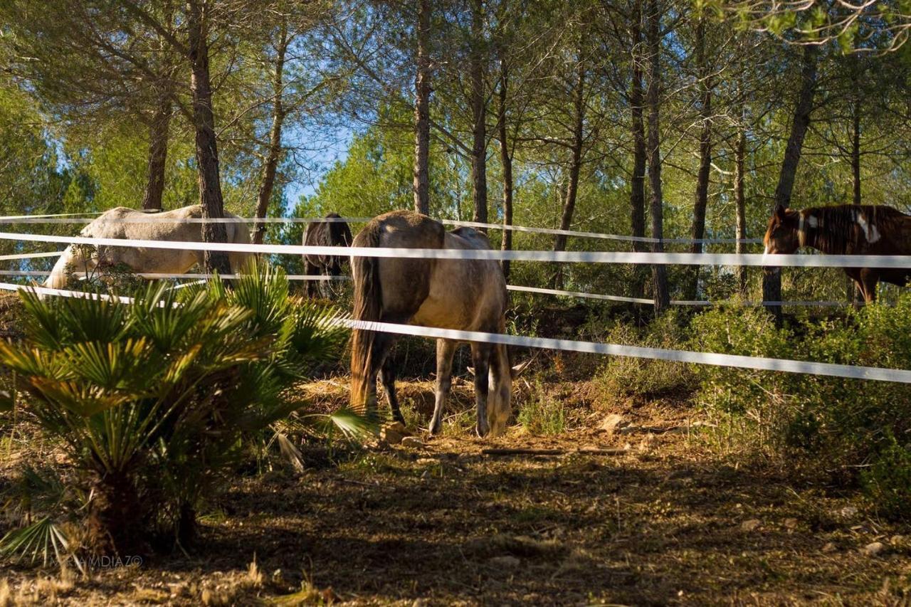 Masia Pou De La Vinya Sitges Exteriör bild