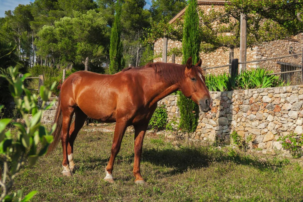 Masia Pou De La Vinya Sitges Exteriör bild